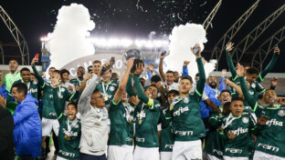 Palmeiras