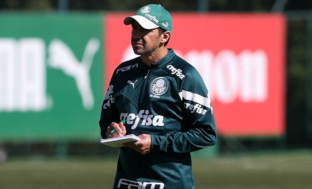 Palmeiras reforço